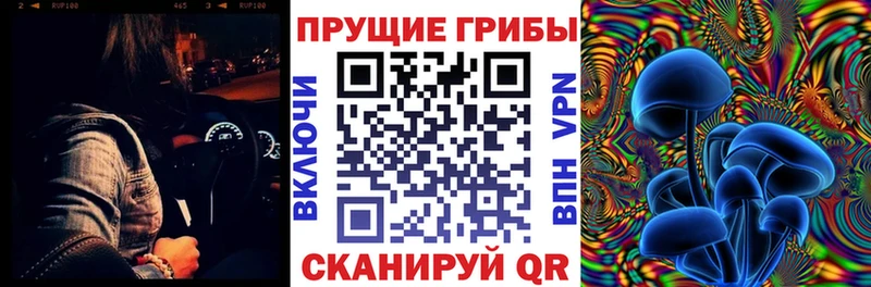 Галлюциногенные грибы ЛСД kraken ONION Гороховец